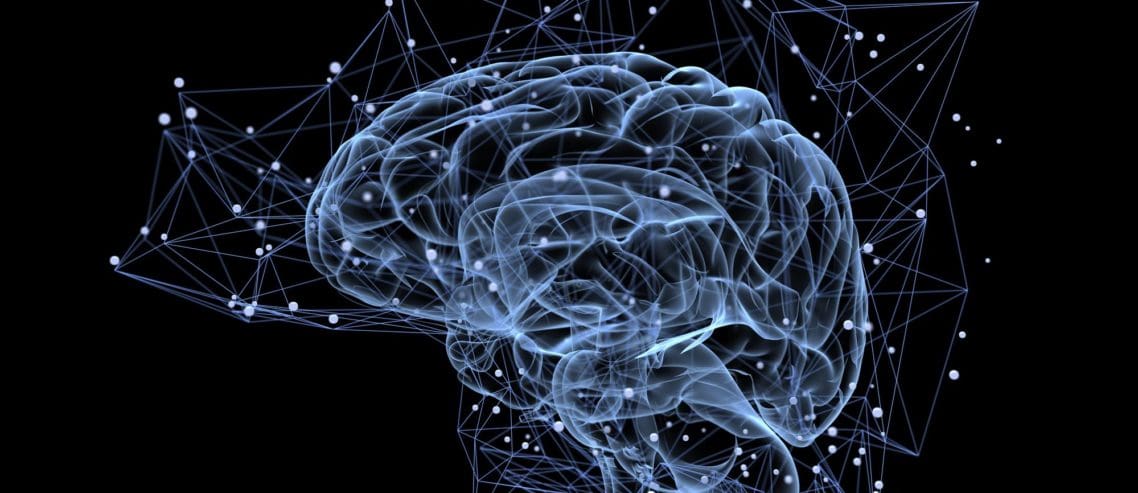 showing human brain activity