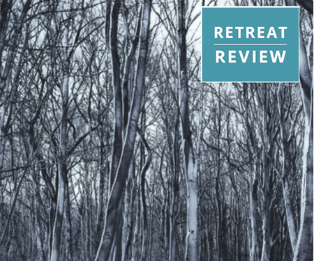 Winter Forest for 2019 Winter Retreat Newsletter