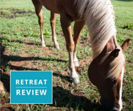 Retreat Review